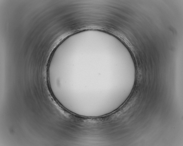 X0000111380898200908071232