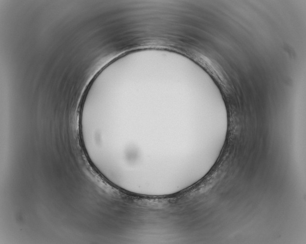 X0000111380900200908071232