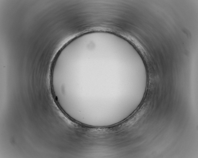 X0000111380902200908071232