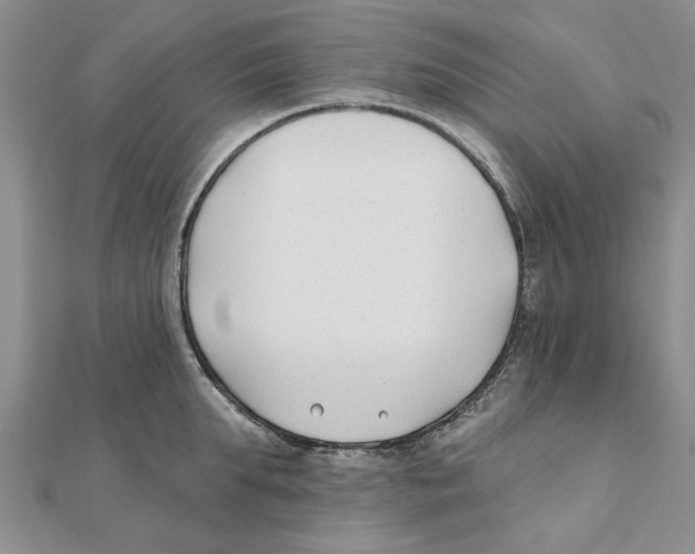 X0000111380903200908071232