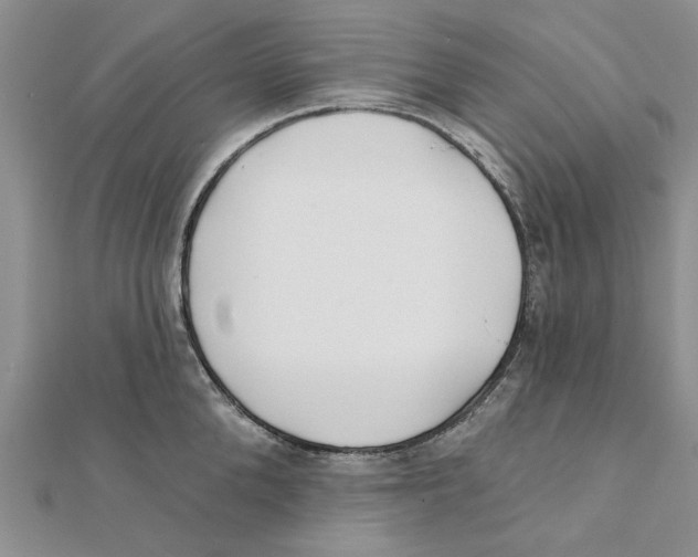 X0000111380904200908071232