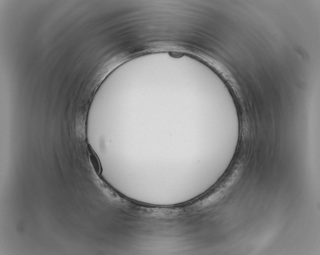 X0000111380905200908071232