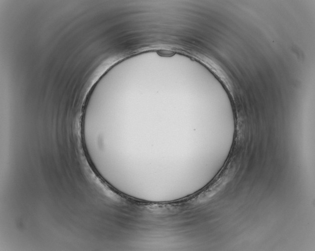 X0000111380906200908071232