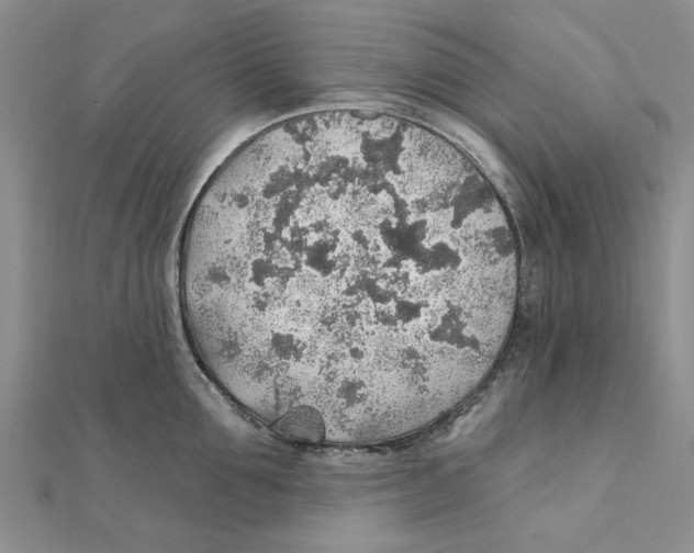 X0000111380907200908071232