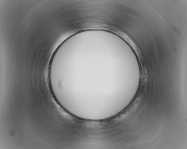 X0000111380909200908071232