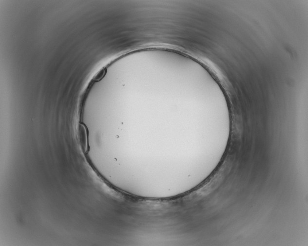 X0000111380910200908071232