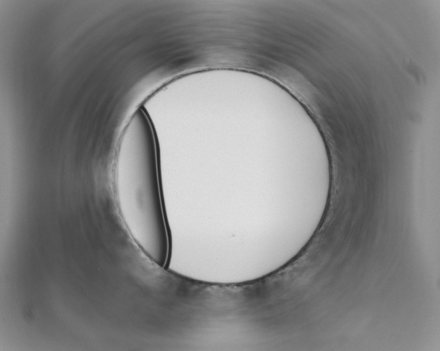 X0000111380912200908071232