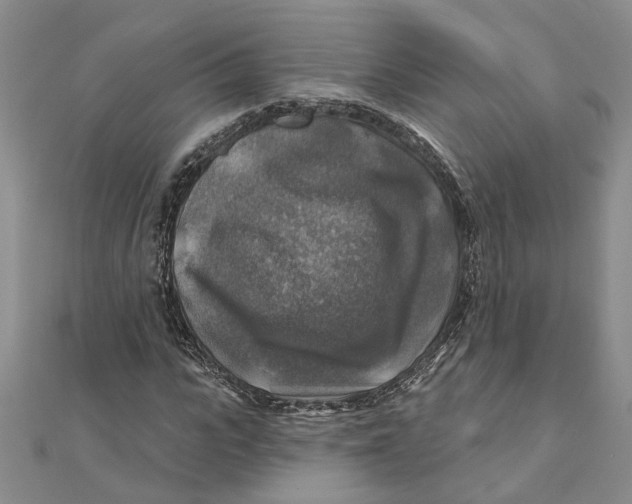 X0000111380919200908071232