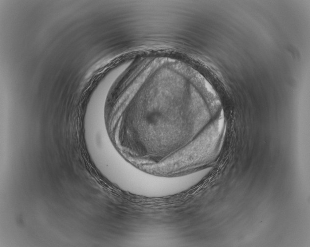 X0000111380920200908071232