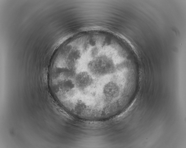 X0000111380921200908071232