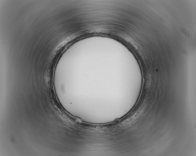 X0000111380922200908071232