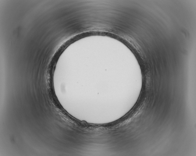 X0000111380926200908071232