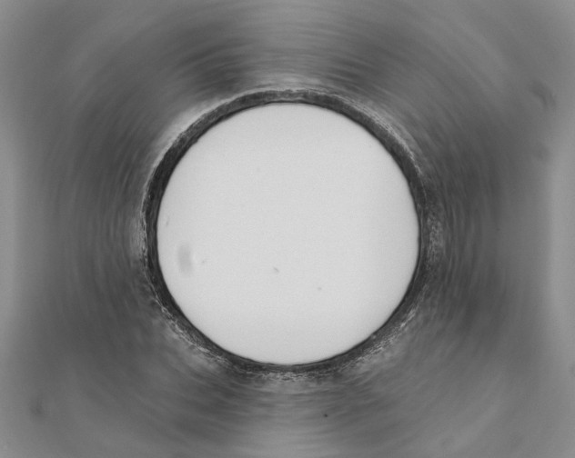 X0000111380927200908071232