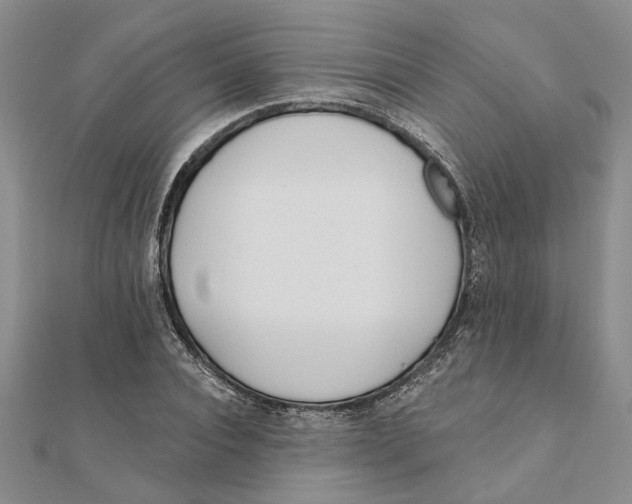 X0000111380928200908071232