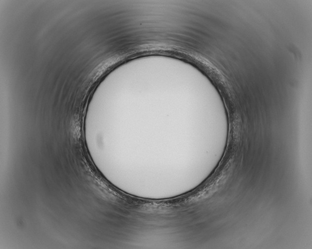 X0000111380929200908071232