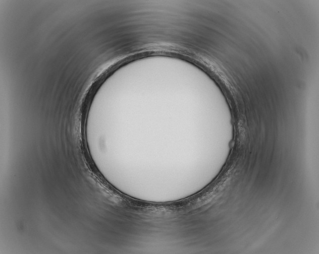 X0000111380931200908071232