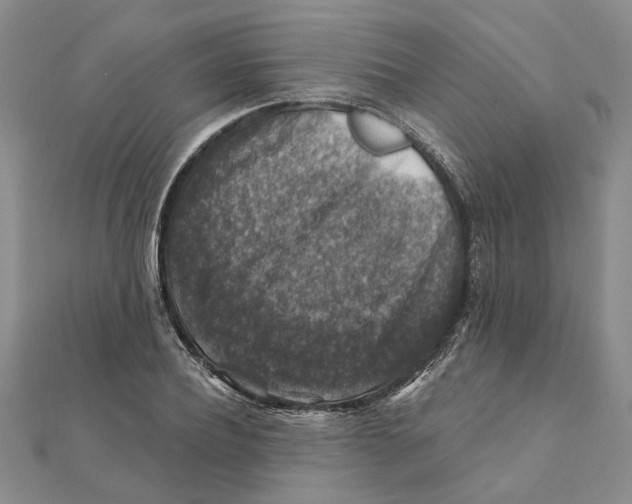 X0000111380932200908071232