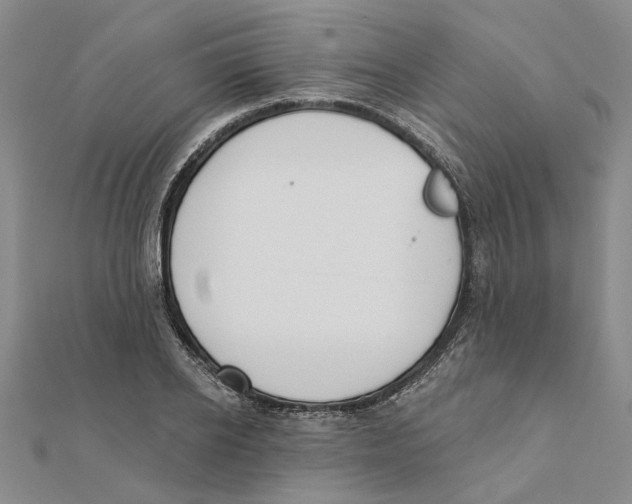 X0000111380934200908071232