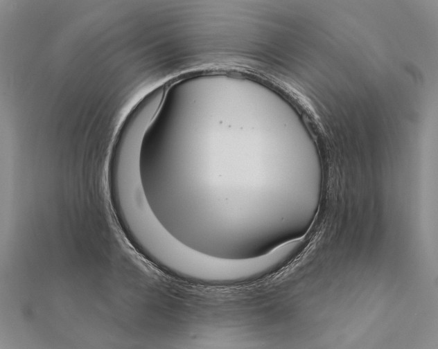 X0000111380936200908071232