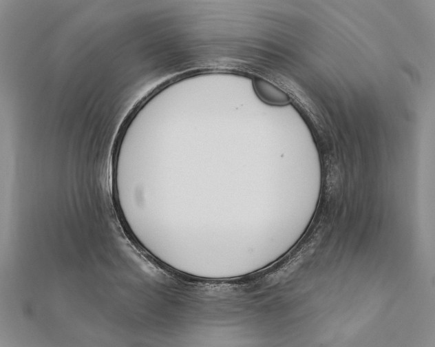 X0000111380940200908071232