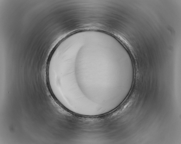 X0000111380941200908071232