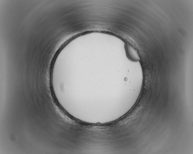 X0000111380942200908071232