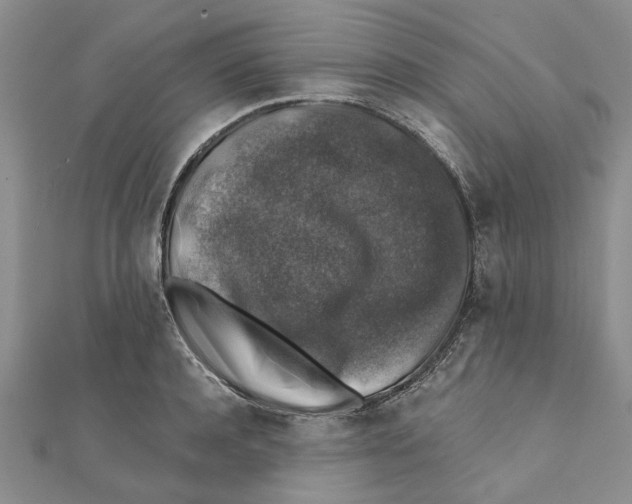 X0000111380944200908071232