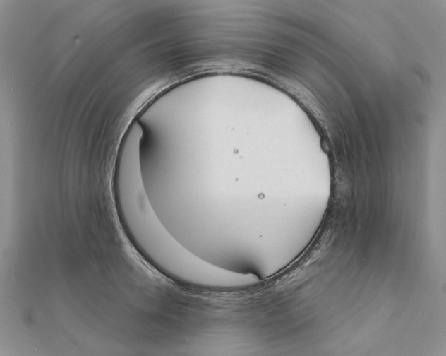 X0000111380946200908071232