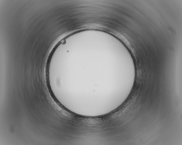 X0000111380947200908071232