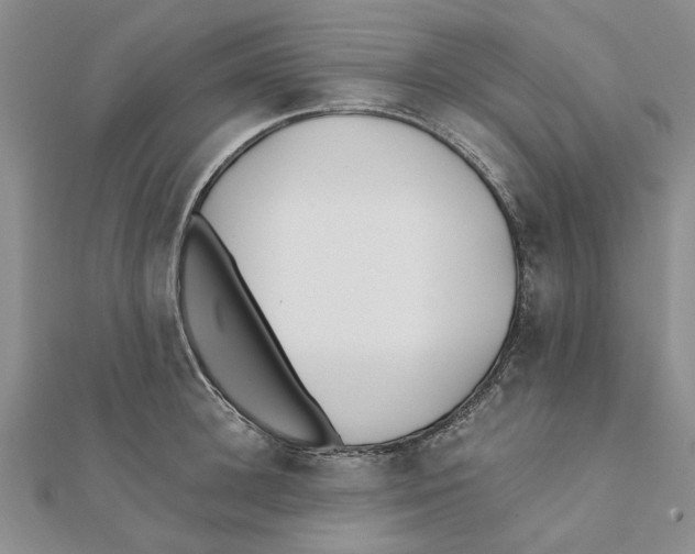 X0000111380948200908071232