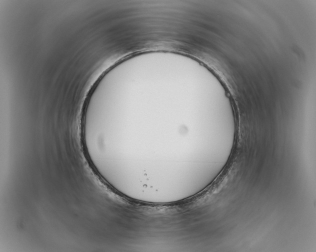 X0000111380949200908071232