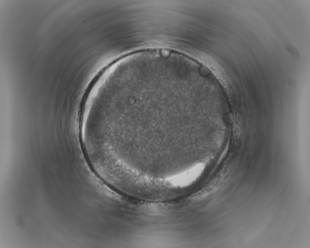 X0000111380950200908071232