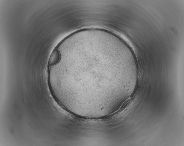 X0000111380951200908071232