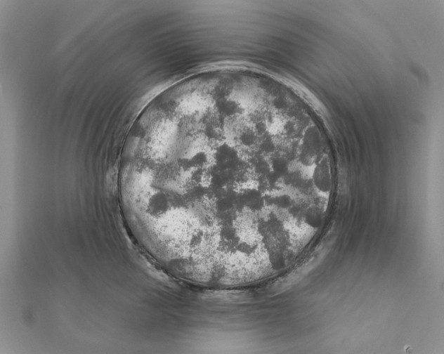 X0000111380953200908071232