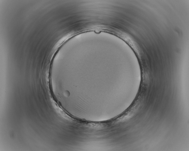 X0000111380954200908071232