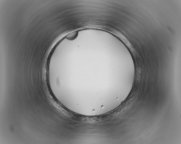 X0000111380955200908071232