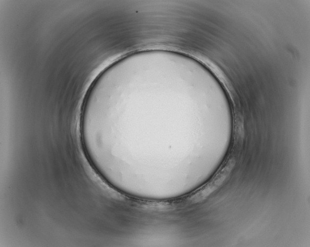 X0000111380957200908071232