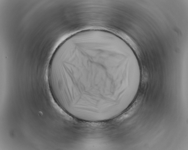 X0000111380958200908071232