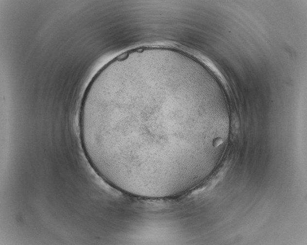 X0000111380959200908071232