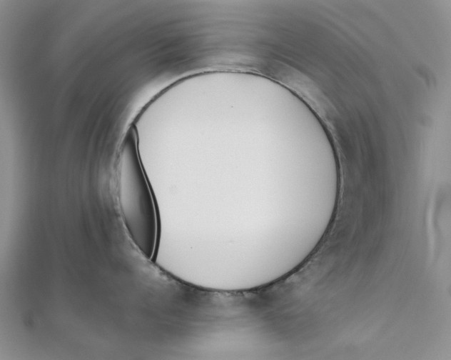 X0000111380960200908071232