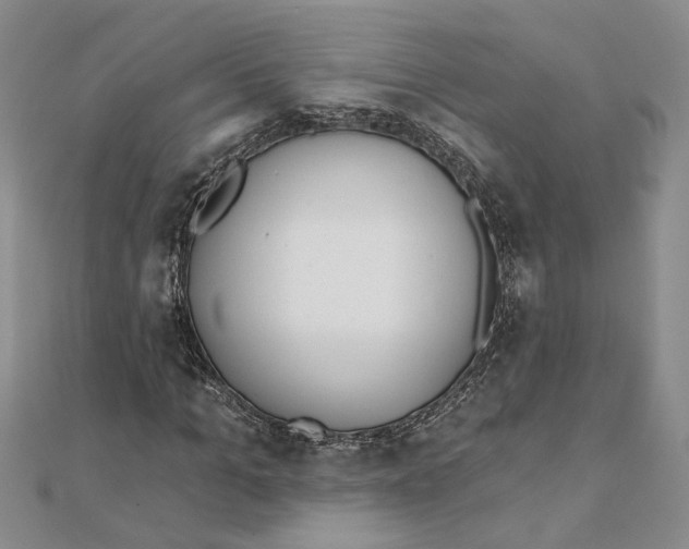 X0000111380965200908071231