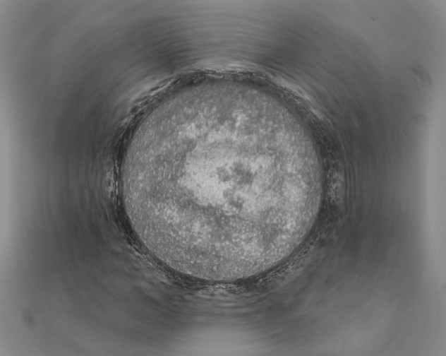 X0000111380966200908071231