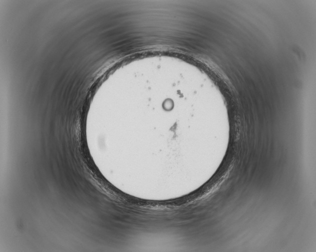 X0000111380969200908071231