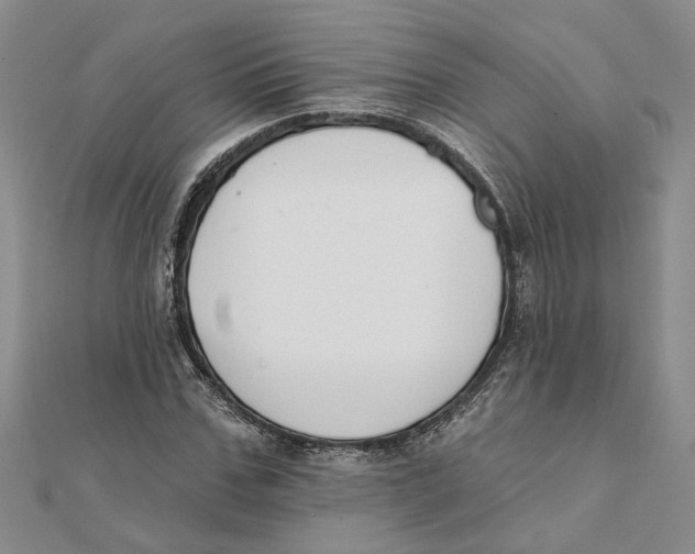 X0000111380971200908071231