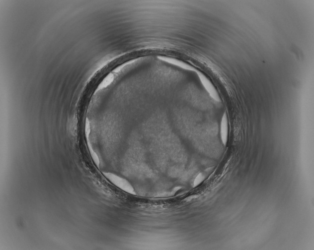 X0000111380975200908071231