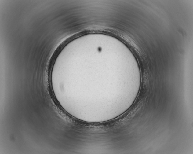 X0000111380976200908071231