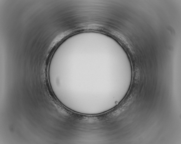 X0000111380978200908071231