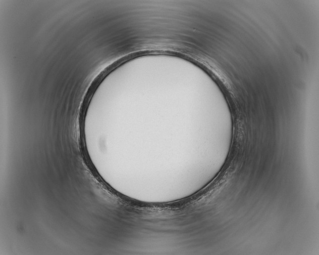 X0000111380980200908071231