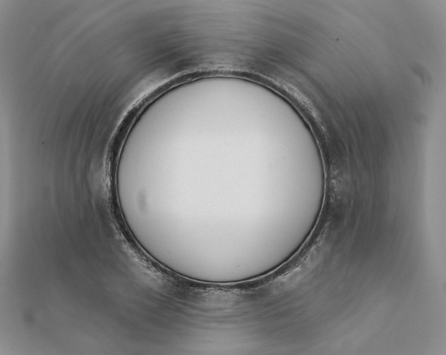 X0000111380981200908071231