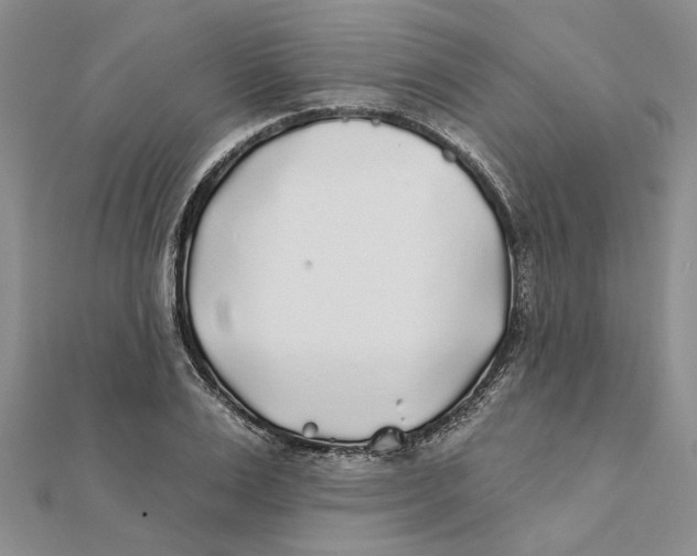 X0000111380983200908071231